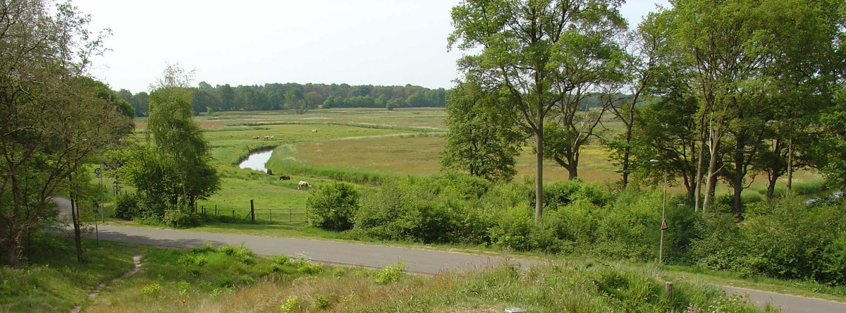 Drentsche Aa National Park