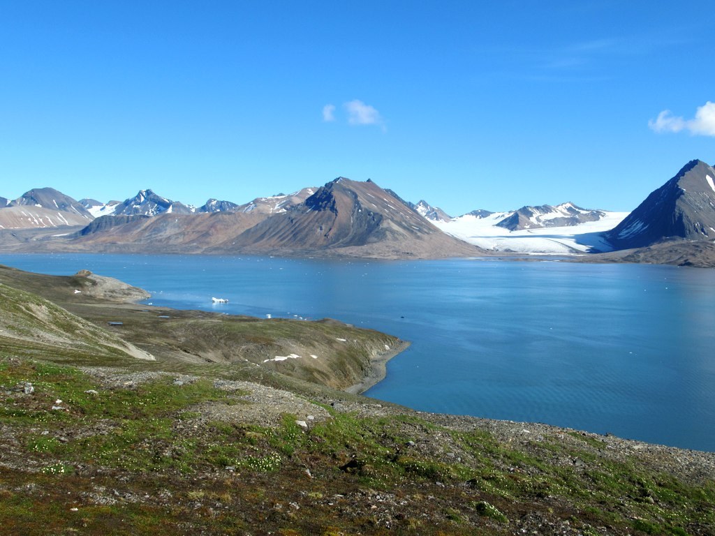 Løvliebreen