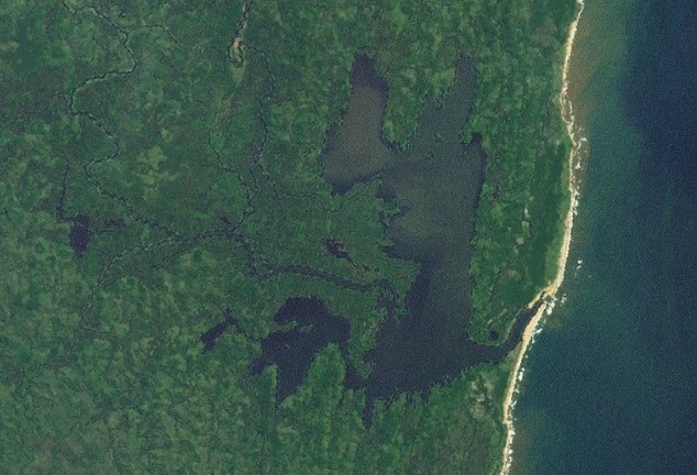 Masihanaka