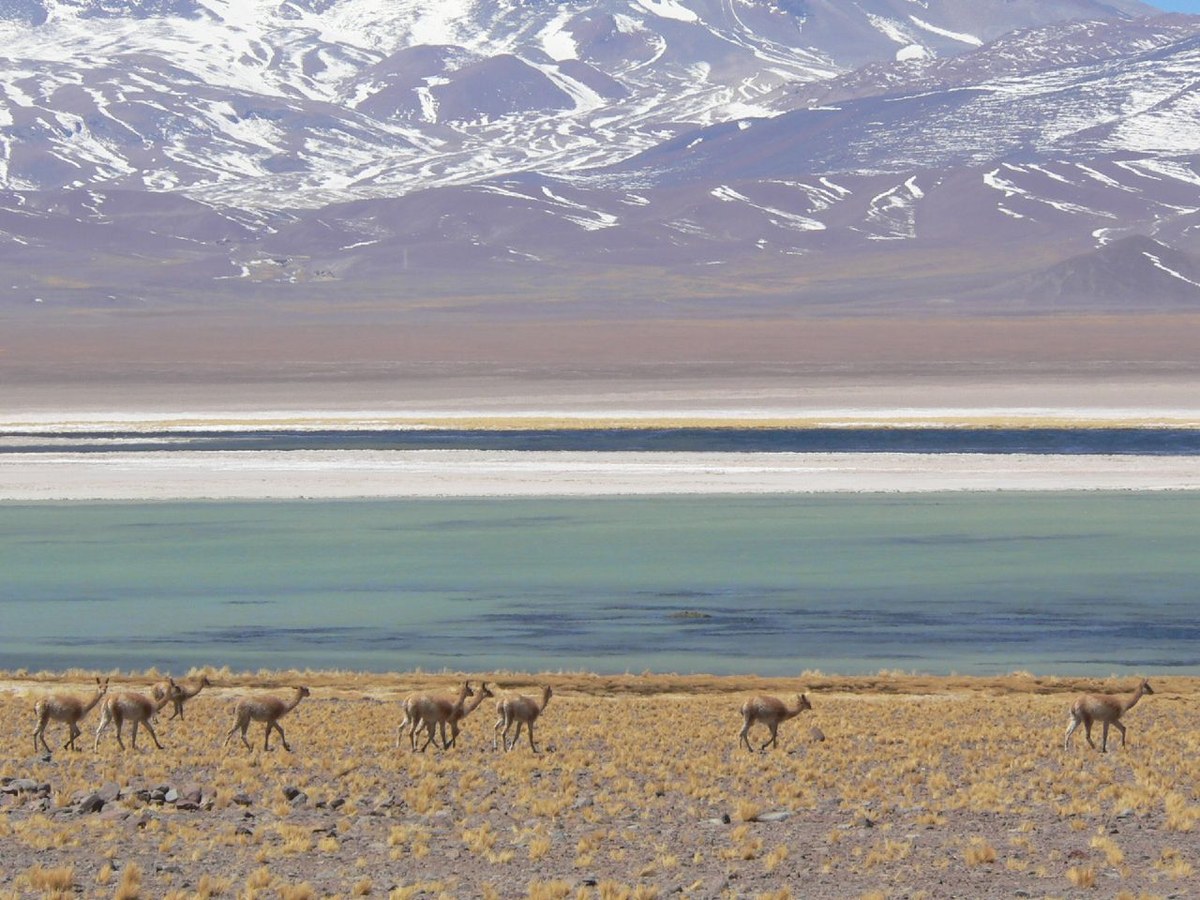 Nevado Tres Cruces National Park