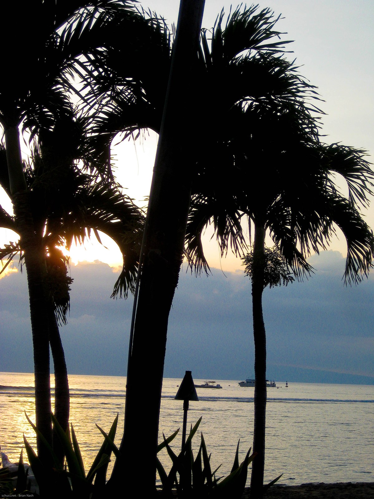 Lahaina Beach
