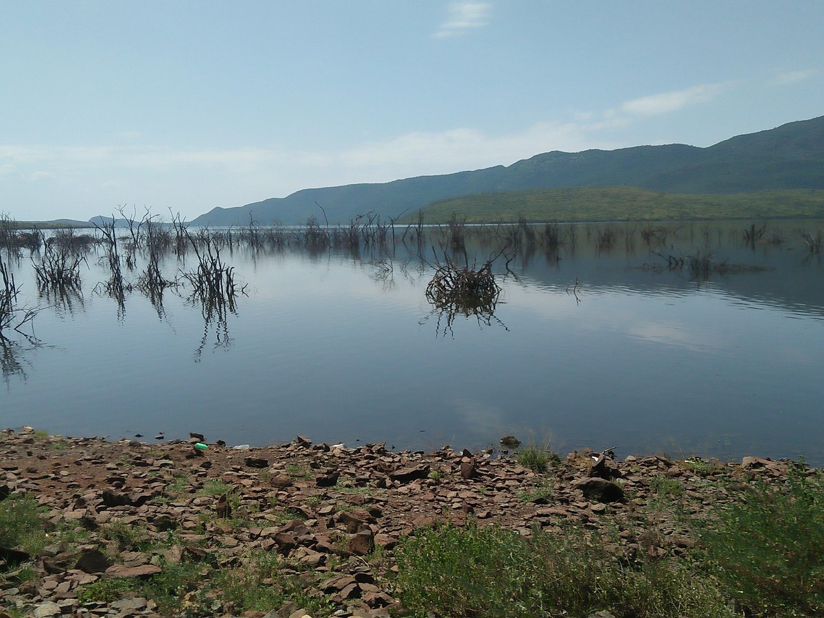 Bogoria