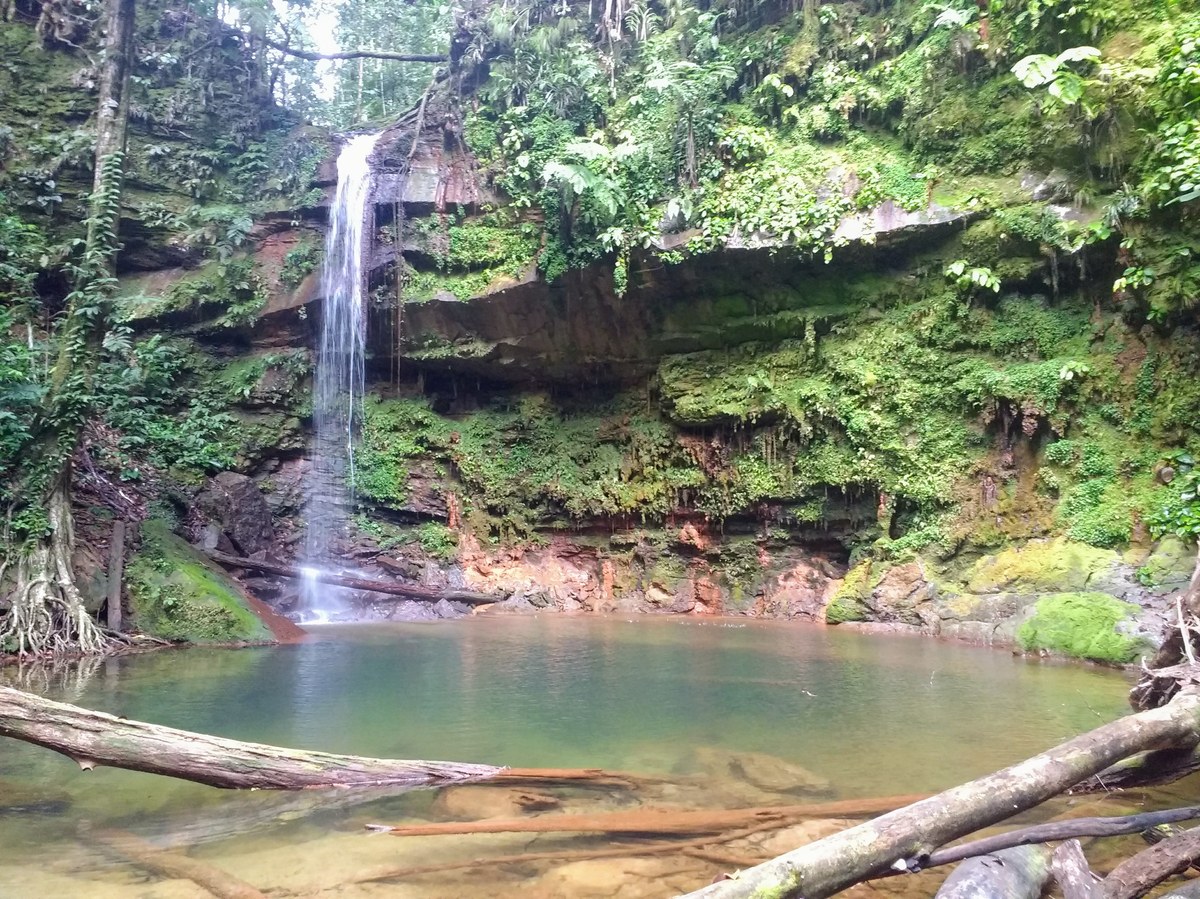 Lambir Hills National Park