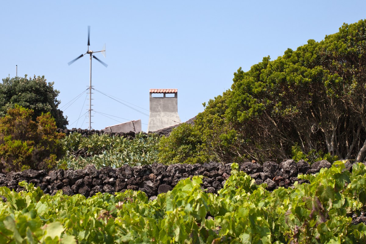 Cabeço das Casas
