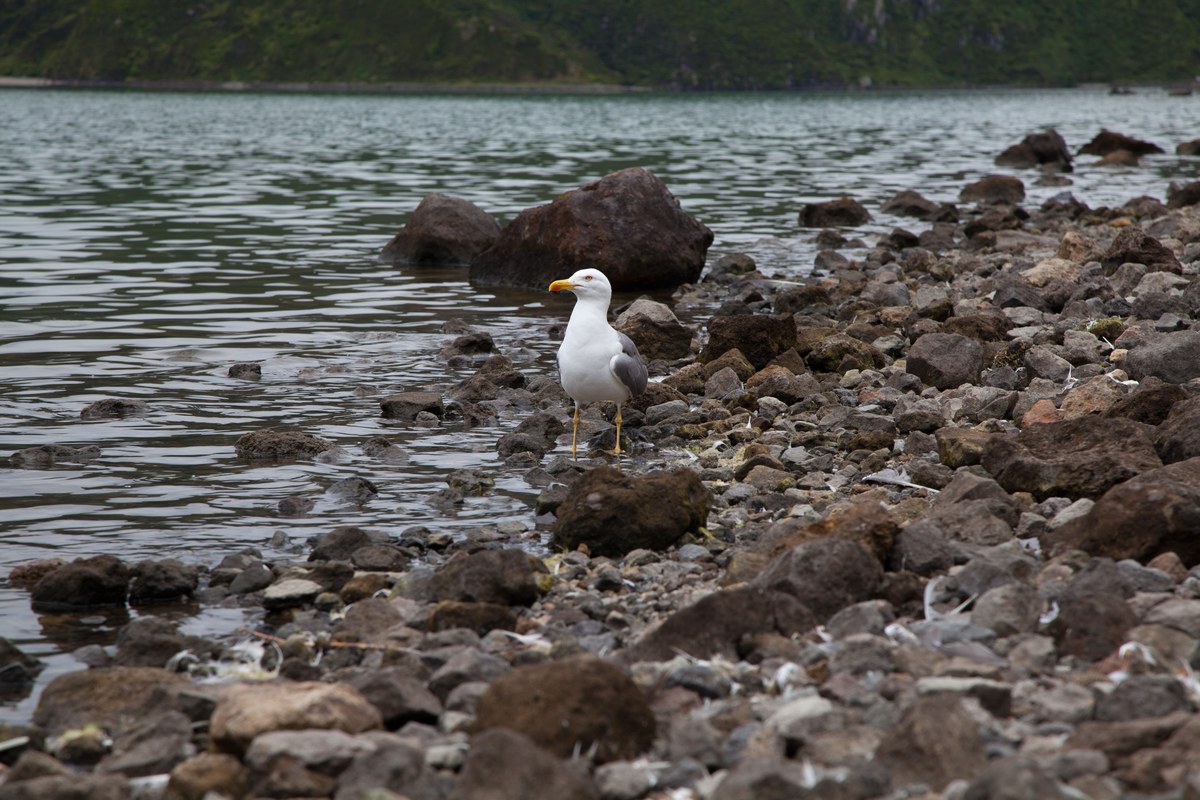 Lagoa do Fogo