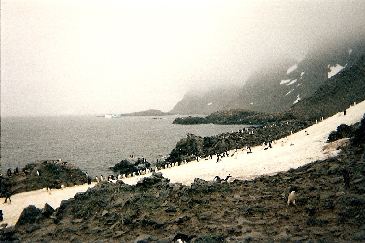 Baldred Rock