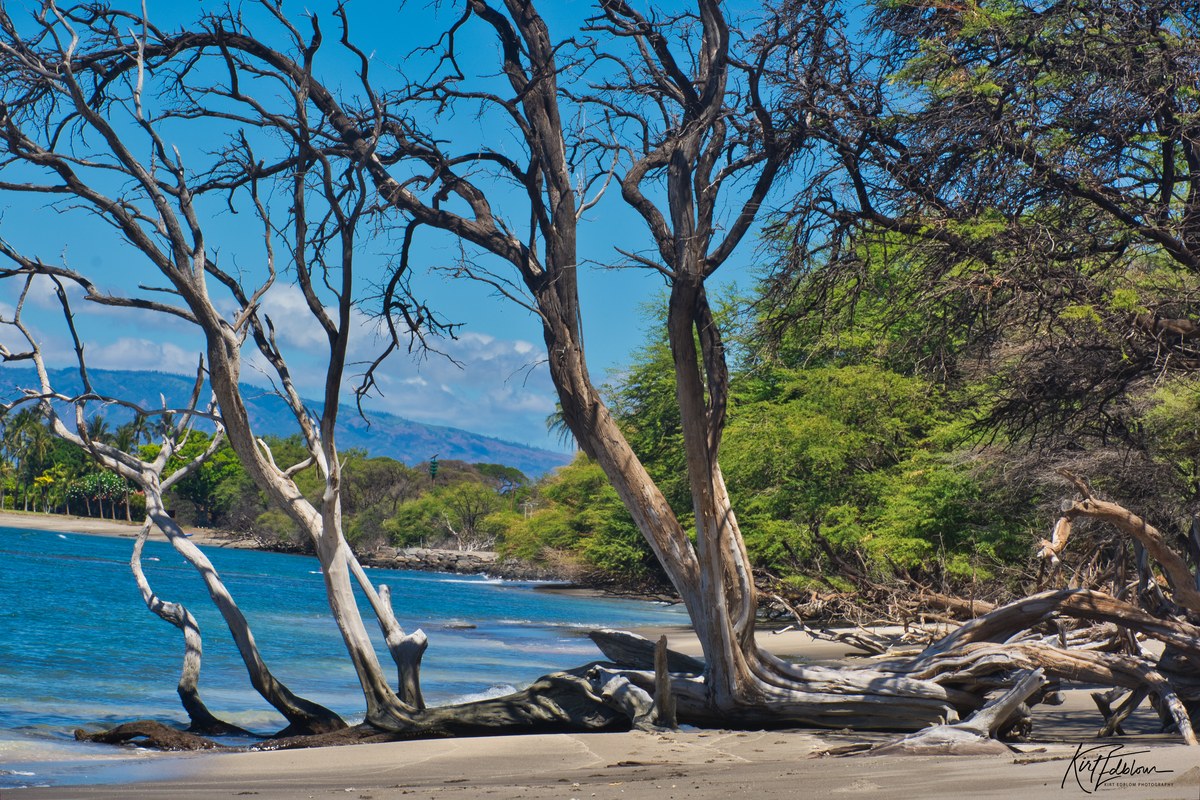 Olowalu Beach