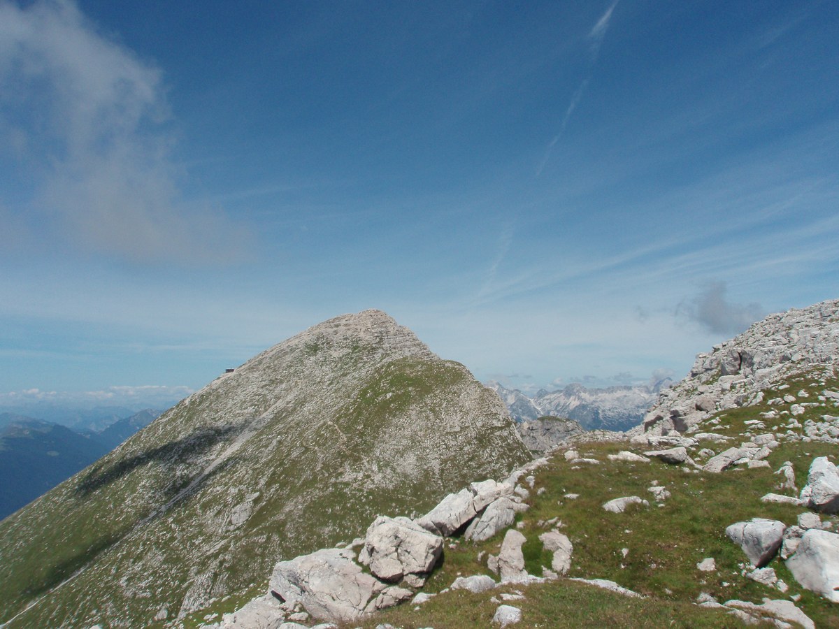 Batognica
