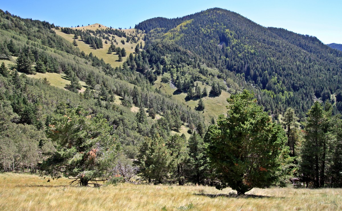 White Horse Hill