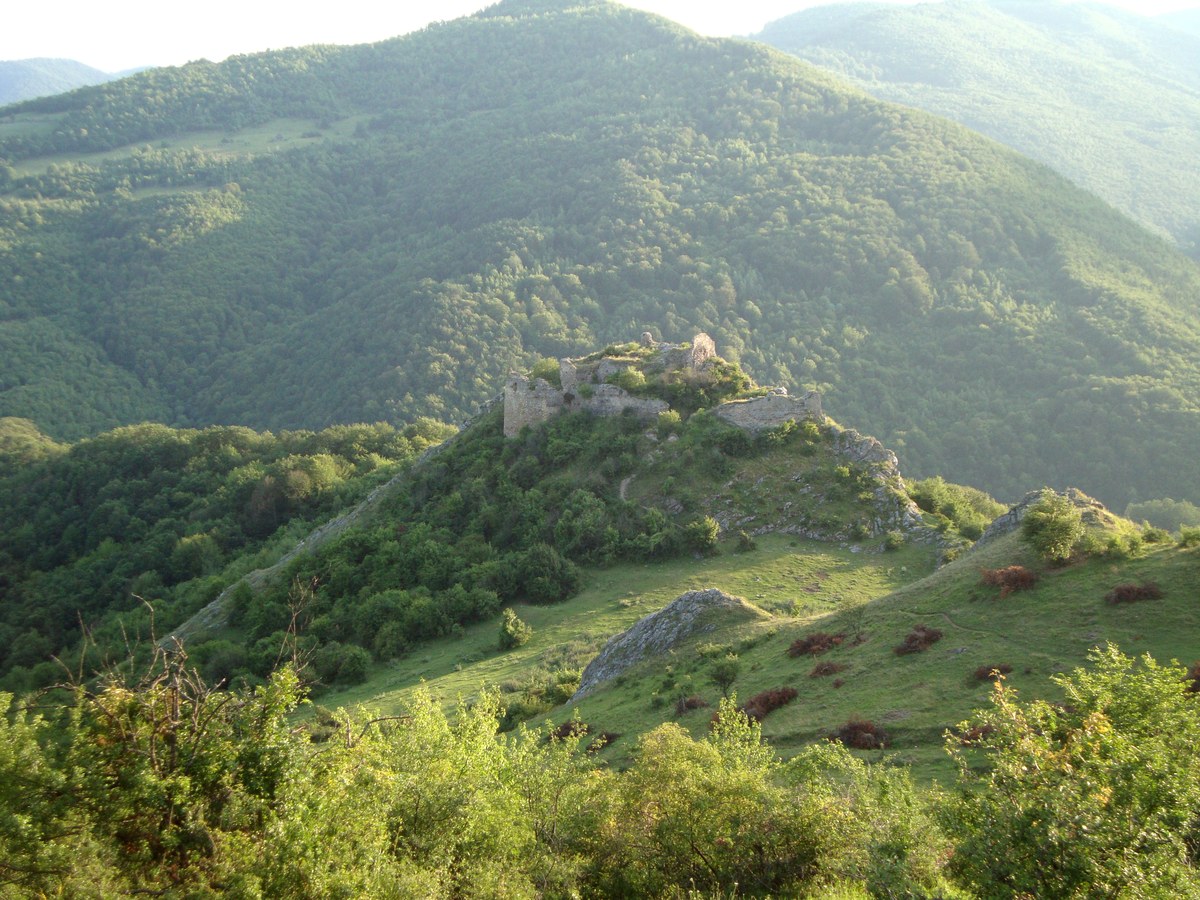 Liteni Castle