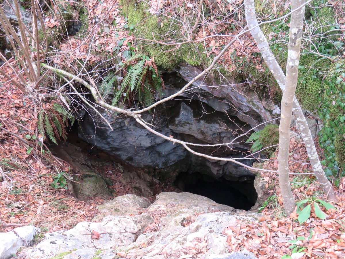 Logarček