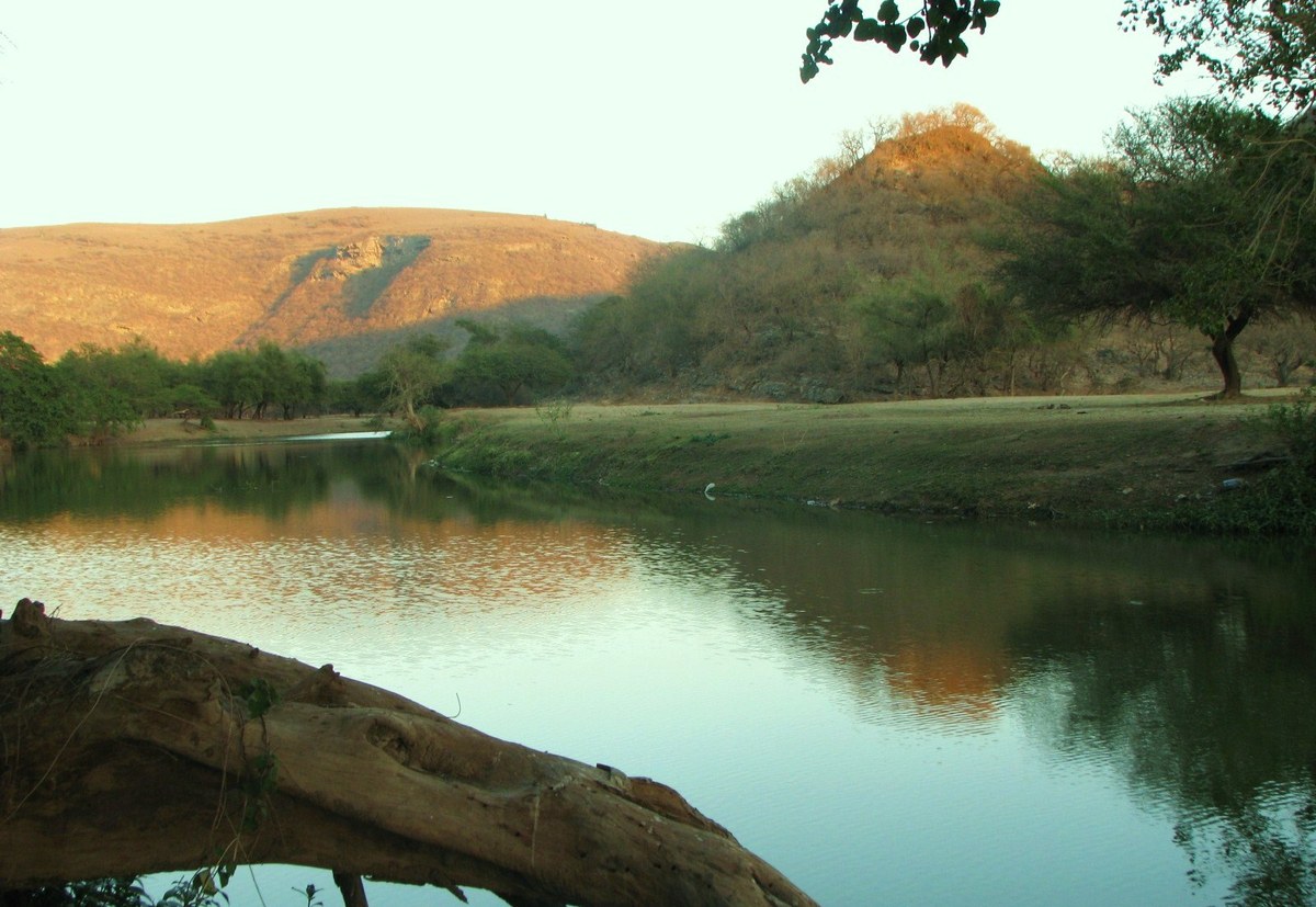 Jabal Nāshib