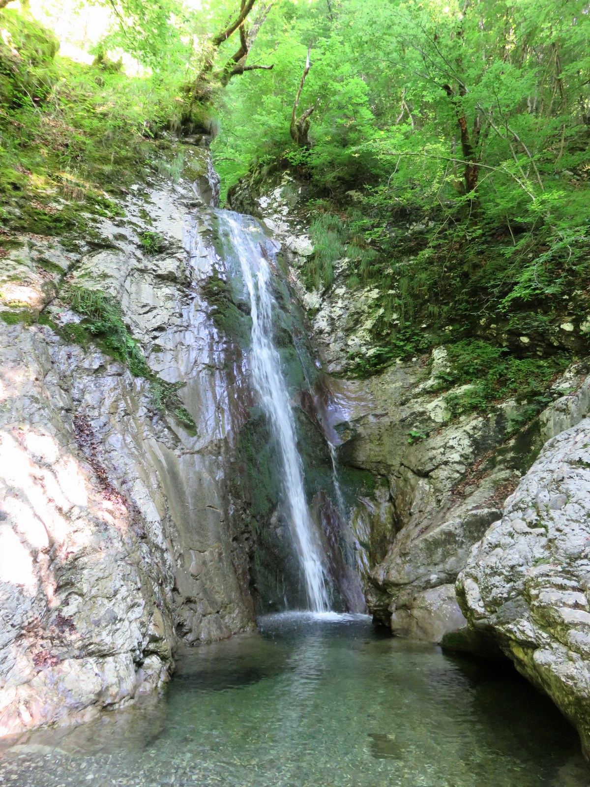 Ribnica