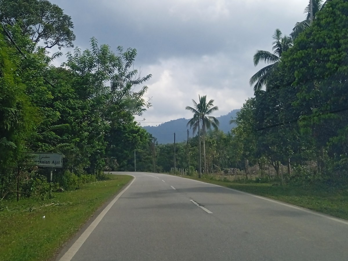 Bukit Kayu Kapur