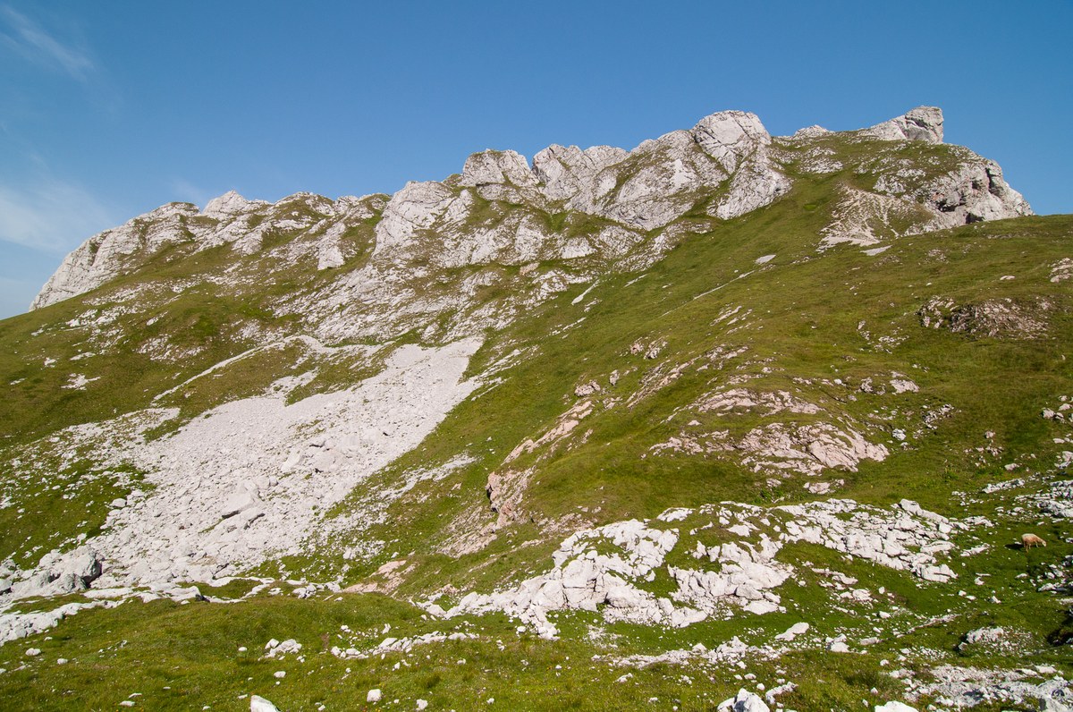 Male Špice