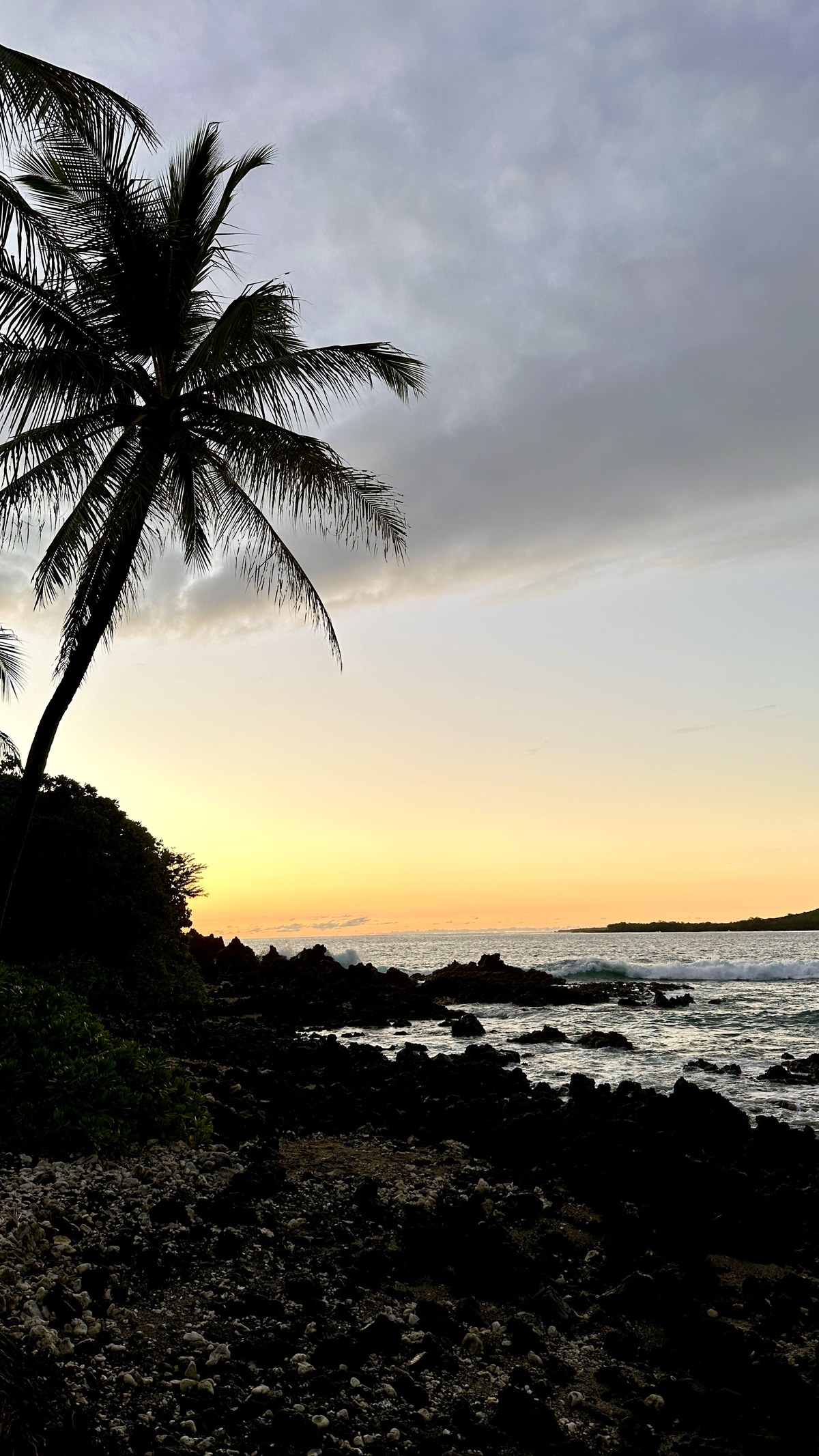Kapahukapu Manini Beach