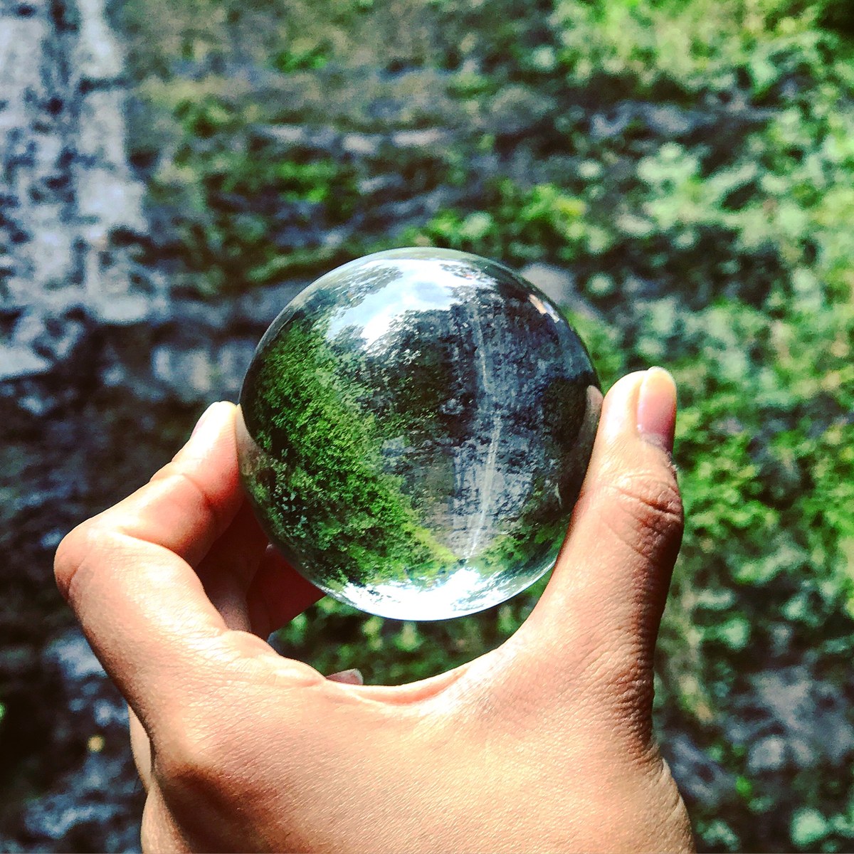 Manoa Falls