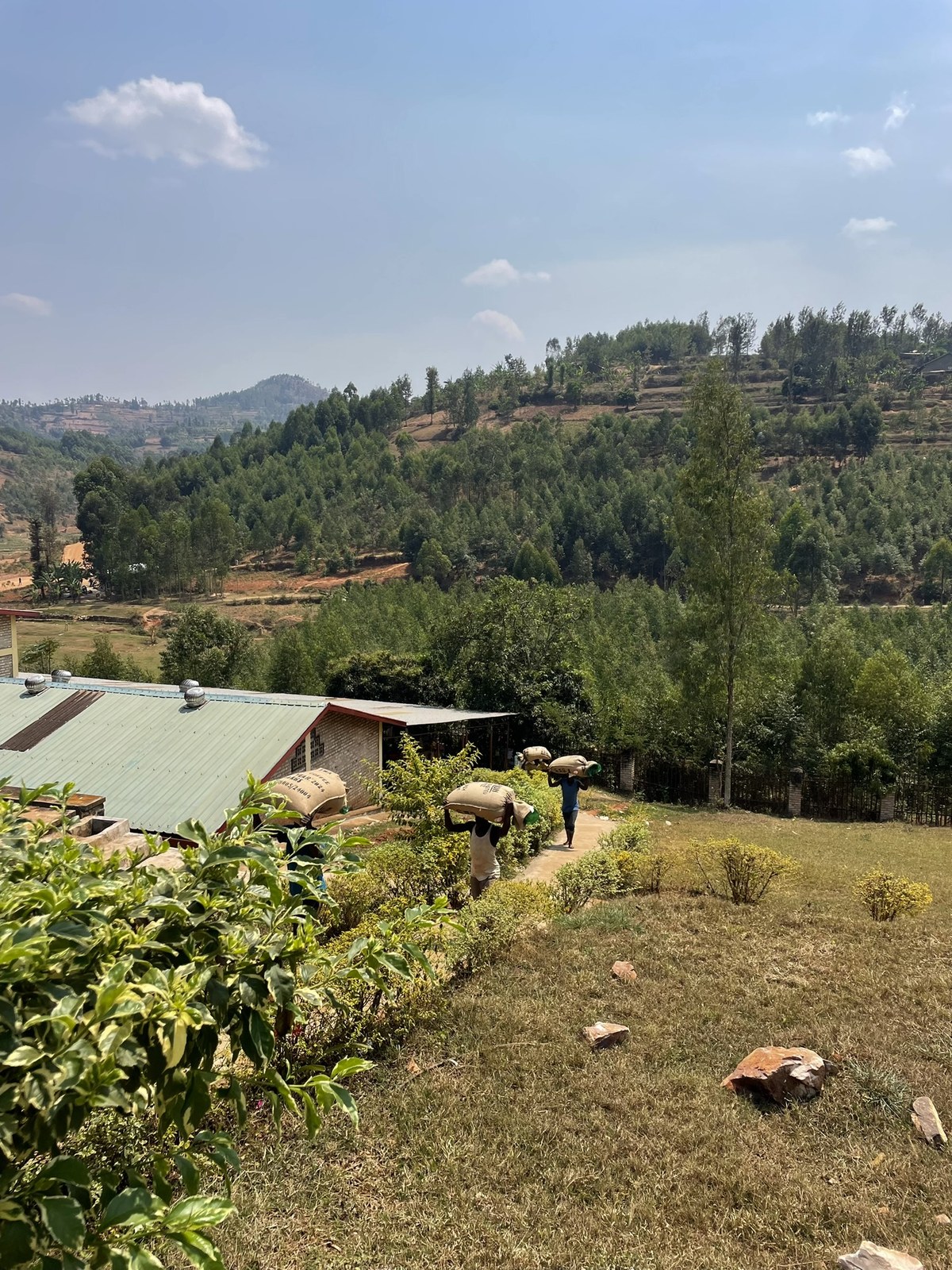 Mount Huye
