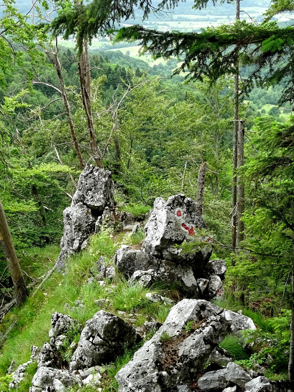Groapa de Aur pit cave