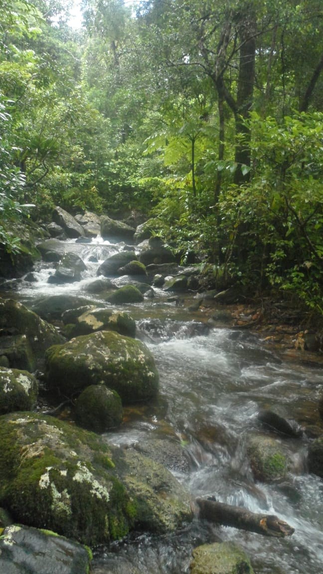 Masoala National Park