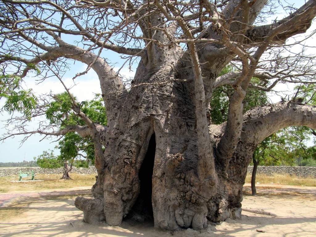 Delft National Park