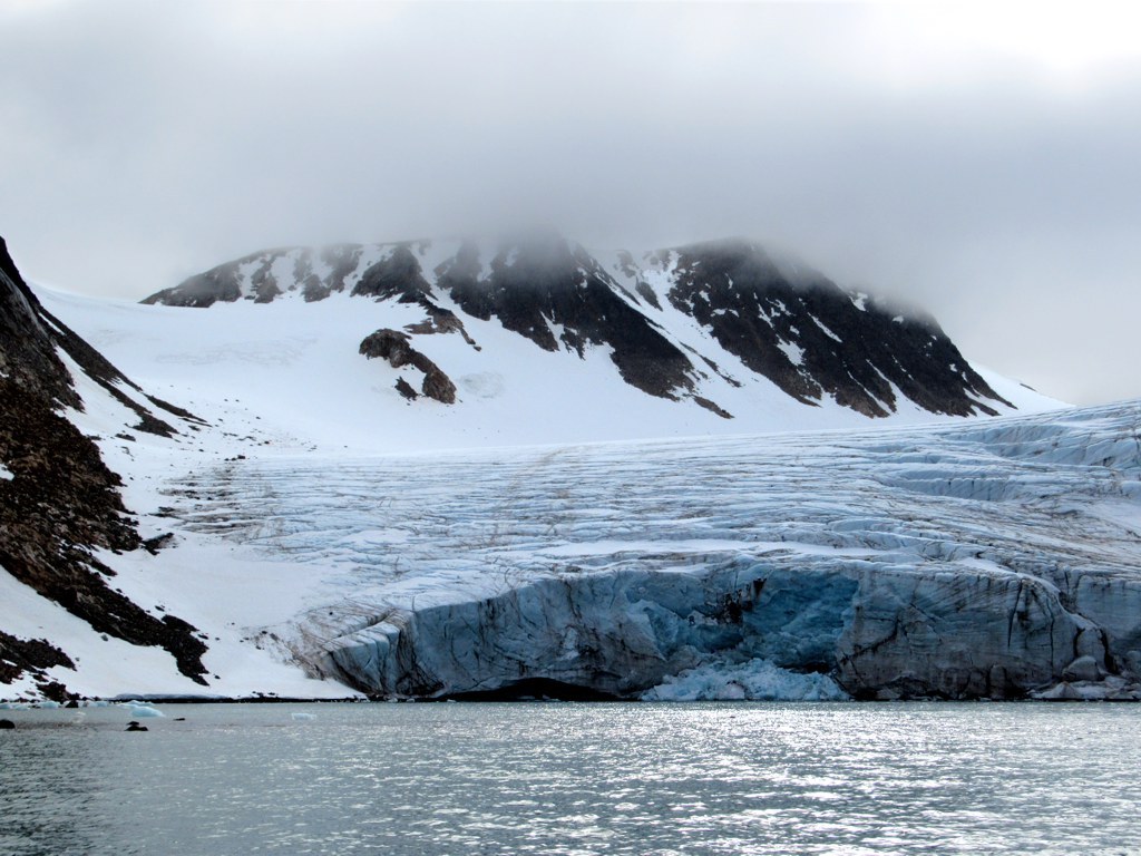 Fuglepyntbreen