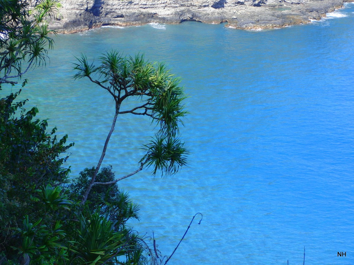 Makaʻalae Beach
