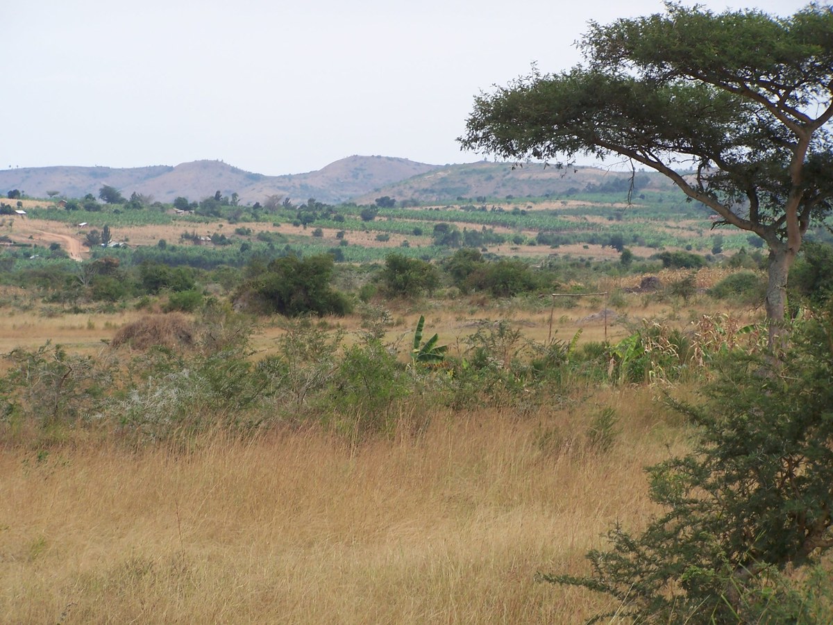 Lake Mburo-Nakivali Wetland system