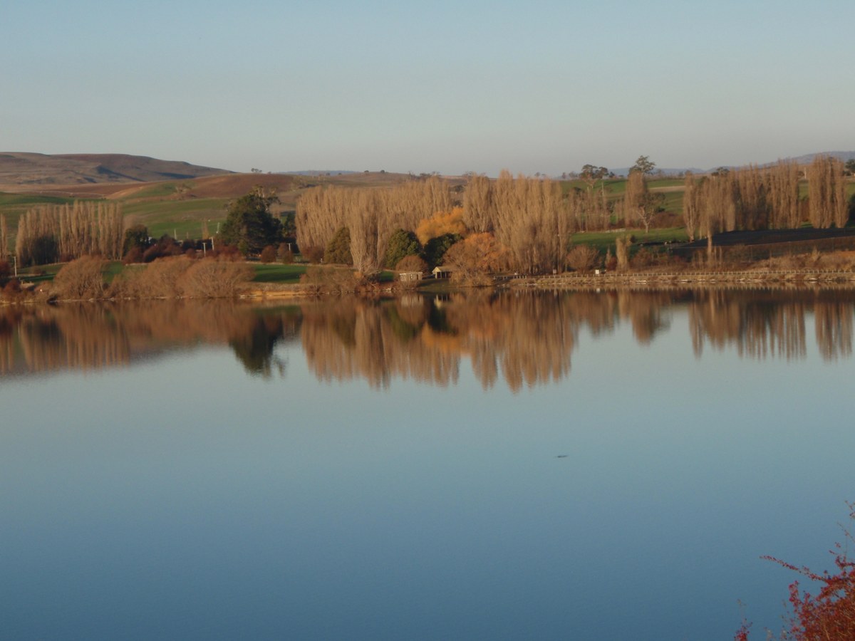 Abbotts Hill