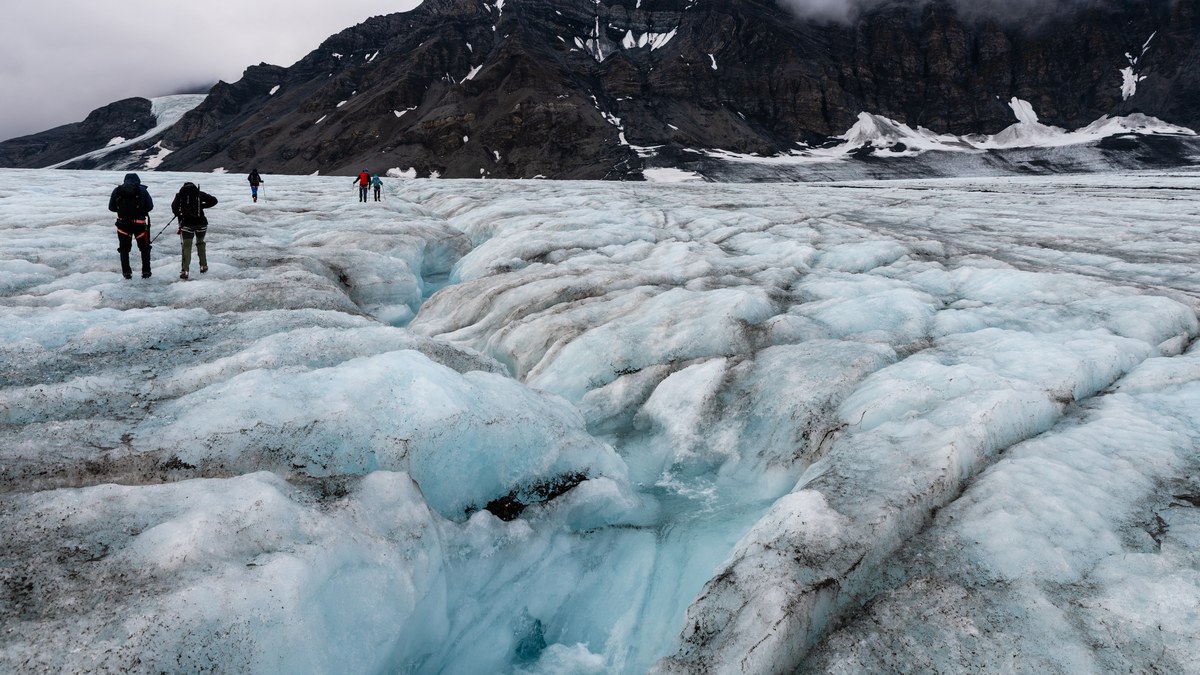 Protektorbreen
