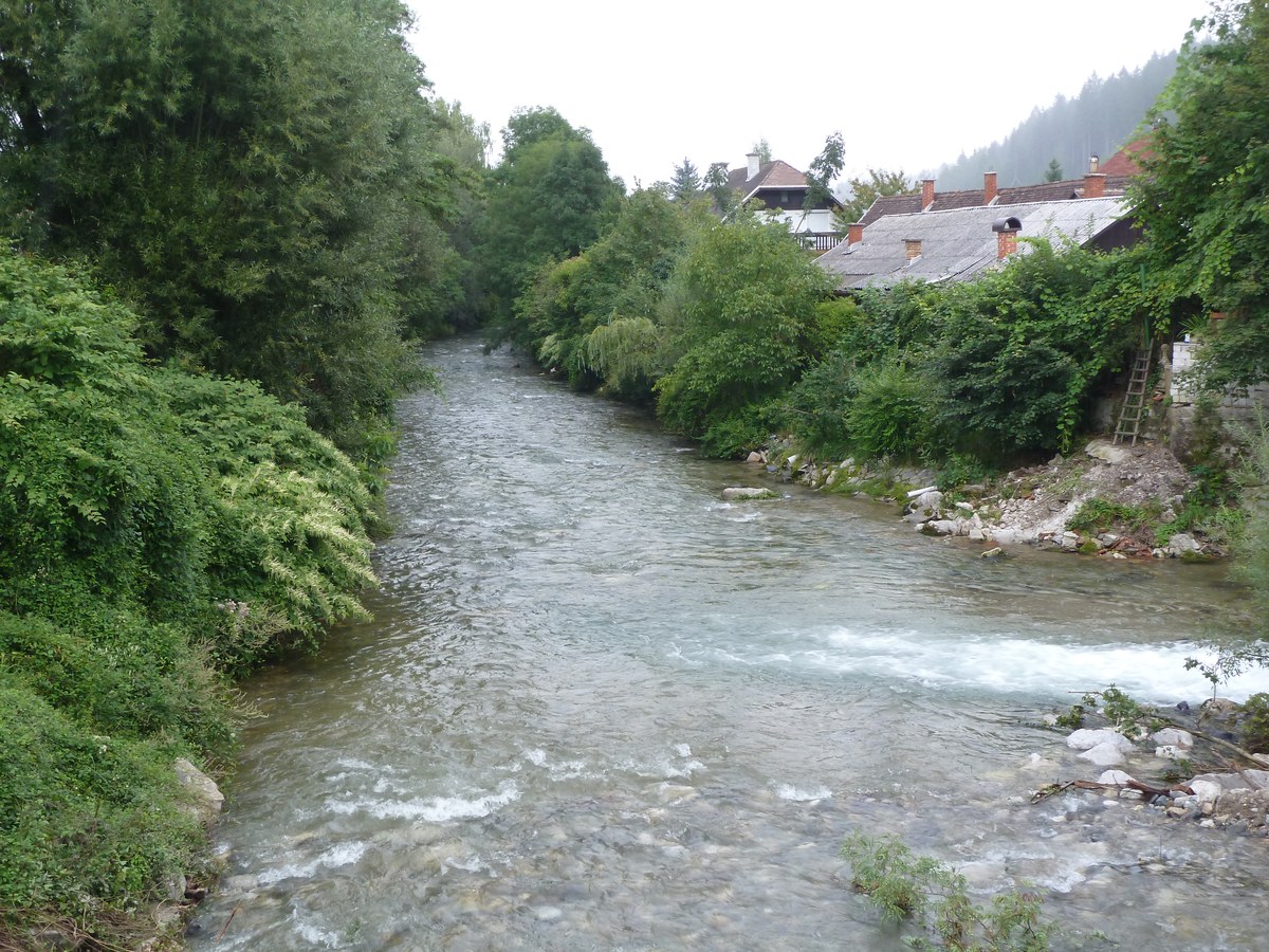 Brinji Vrh
