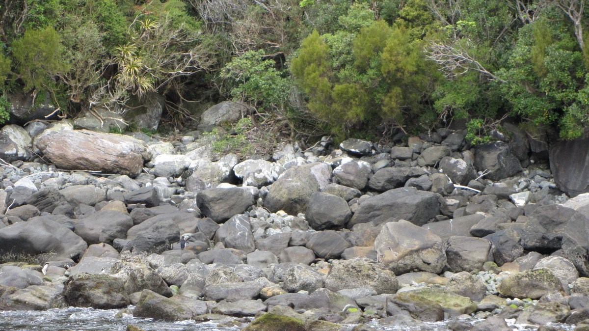 Hoani Falls