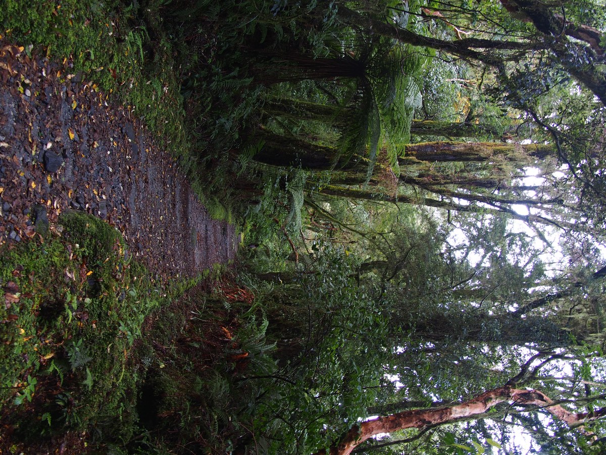 Camp Oven Falls