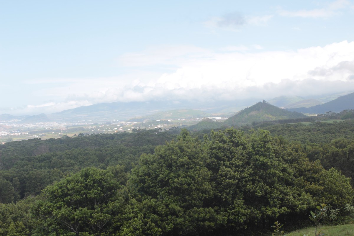 Miradouro dos Aflitos