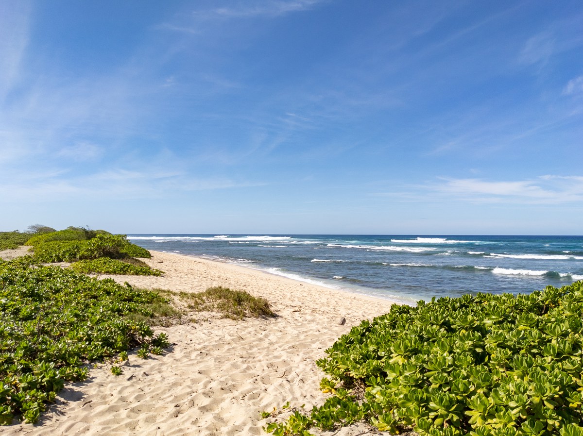 Mokulēʻia Army Beach