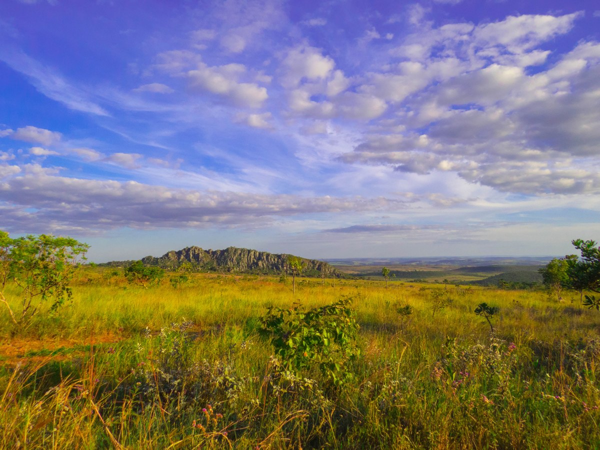 Lagoa do Cerrado