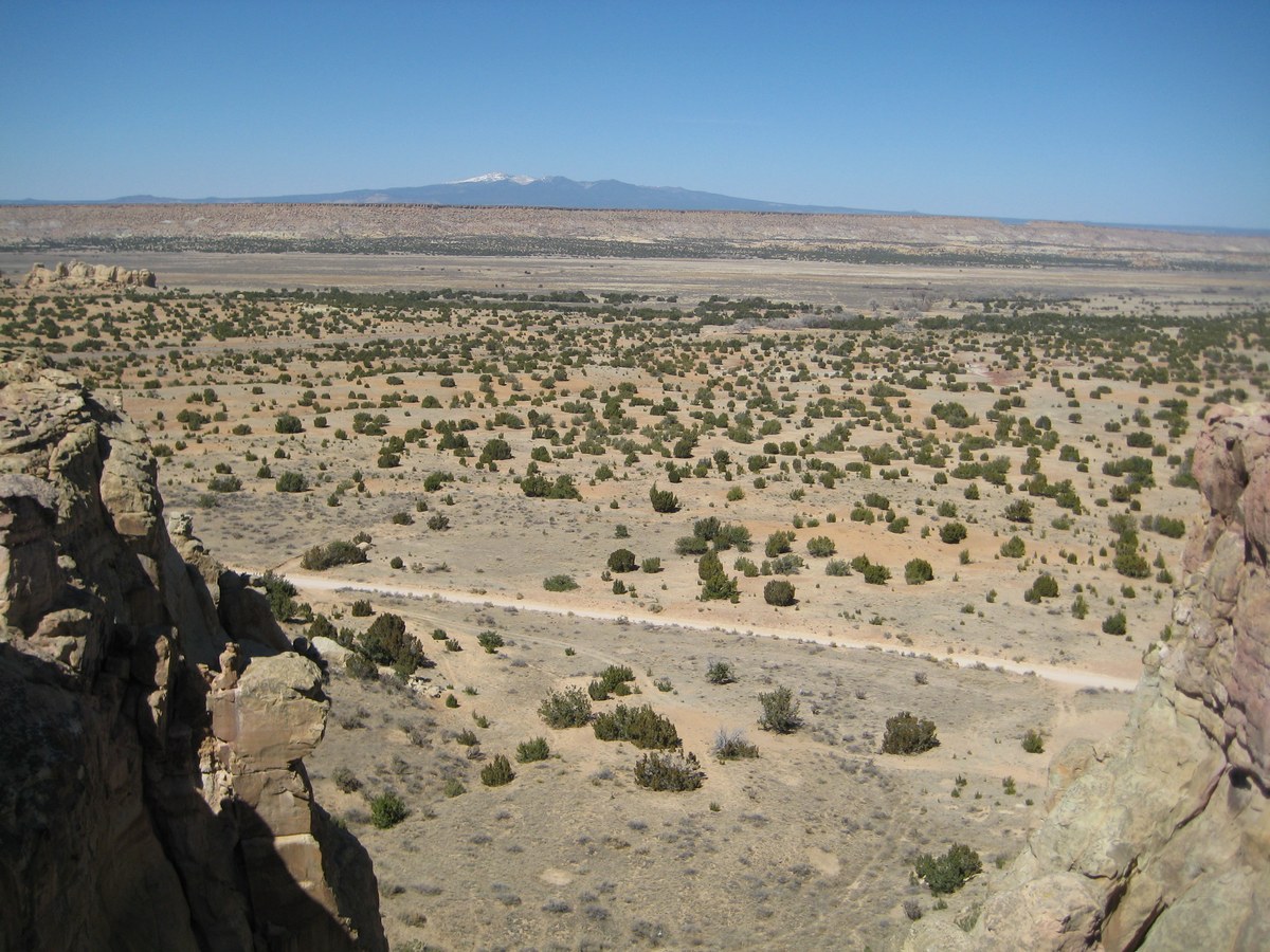 Canipa Mesa