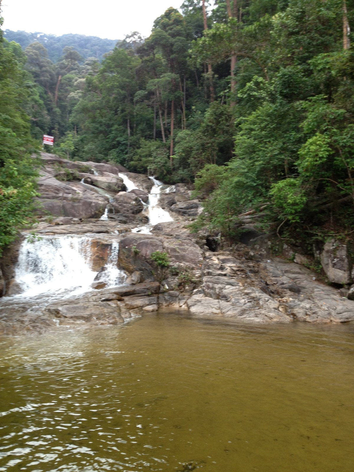 Gunung Ledang National Park