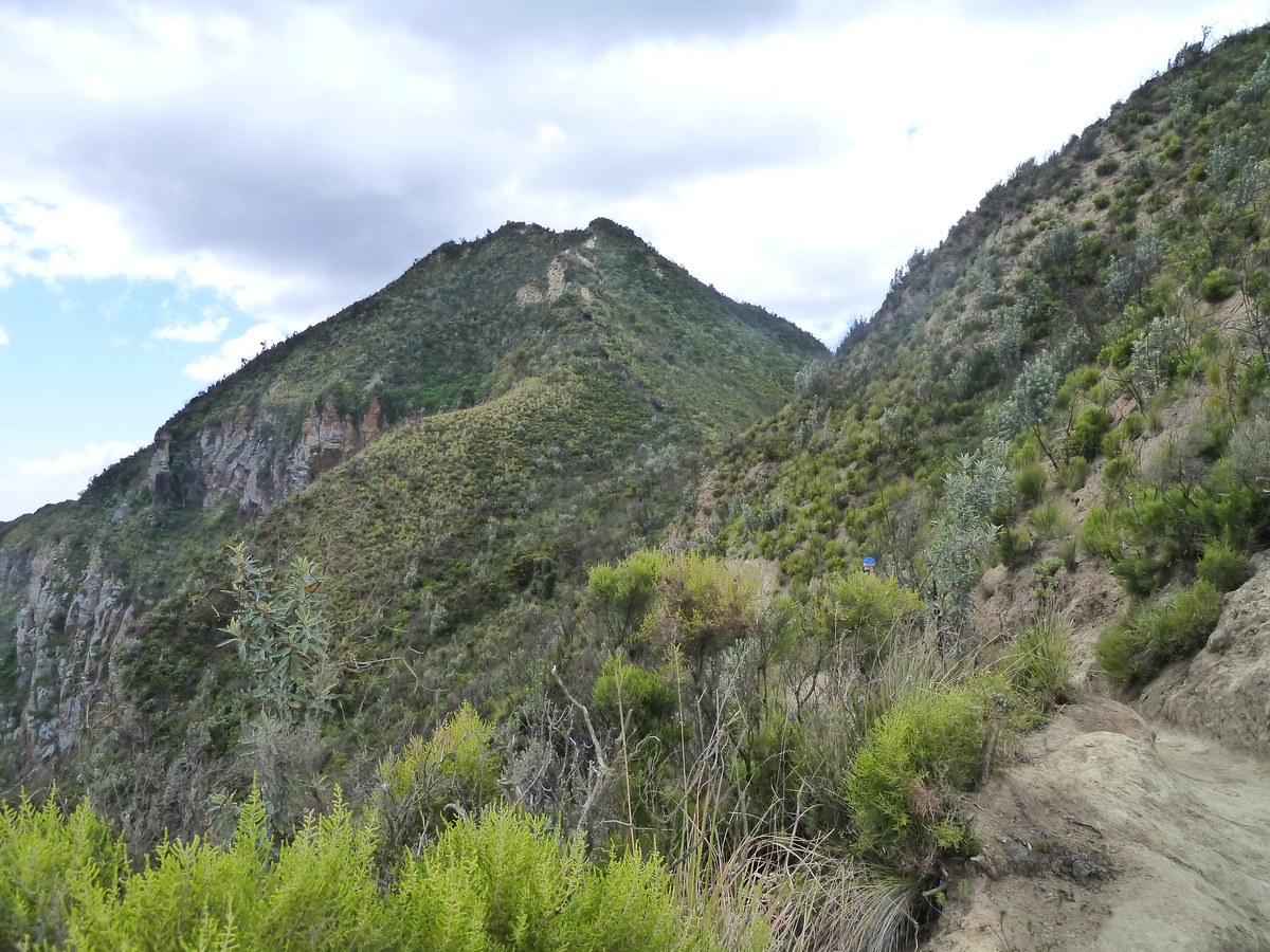 Longonot