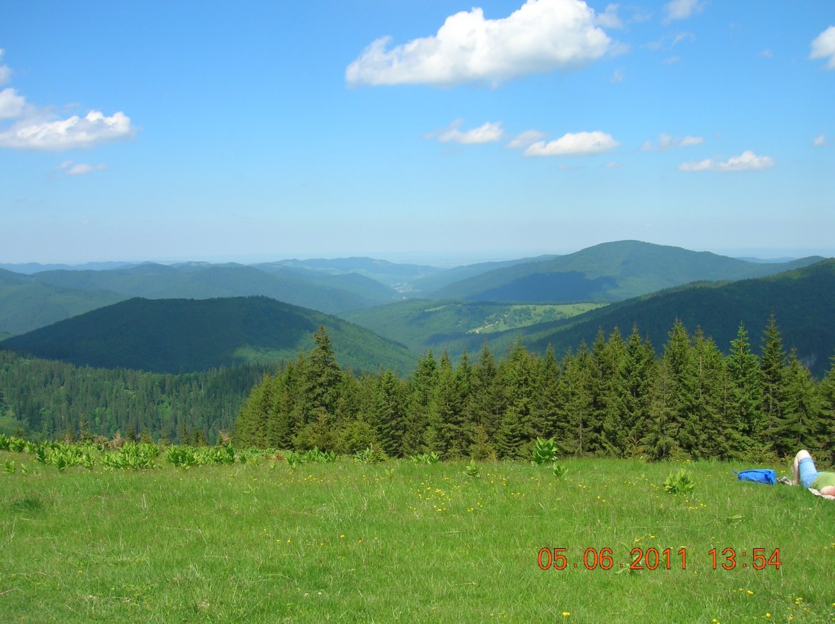 Muntele Bivolul