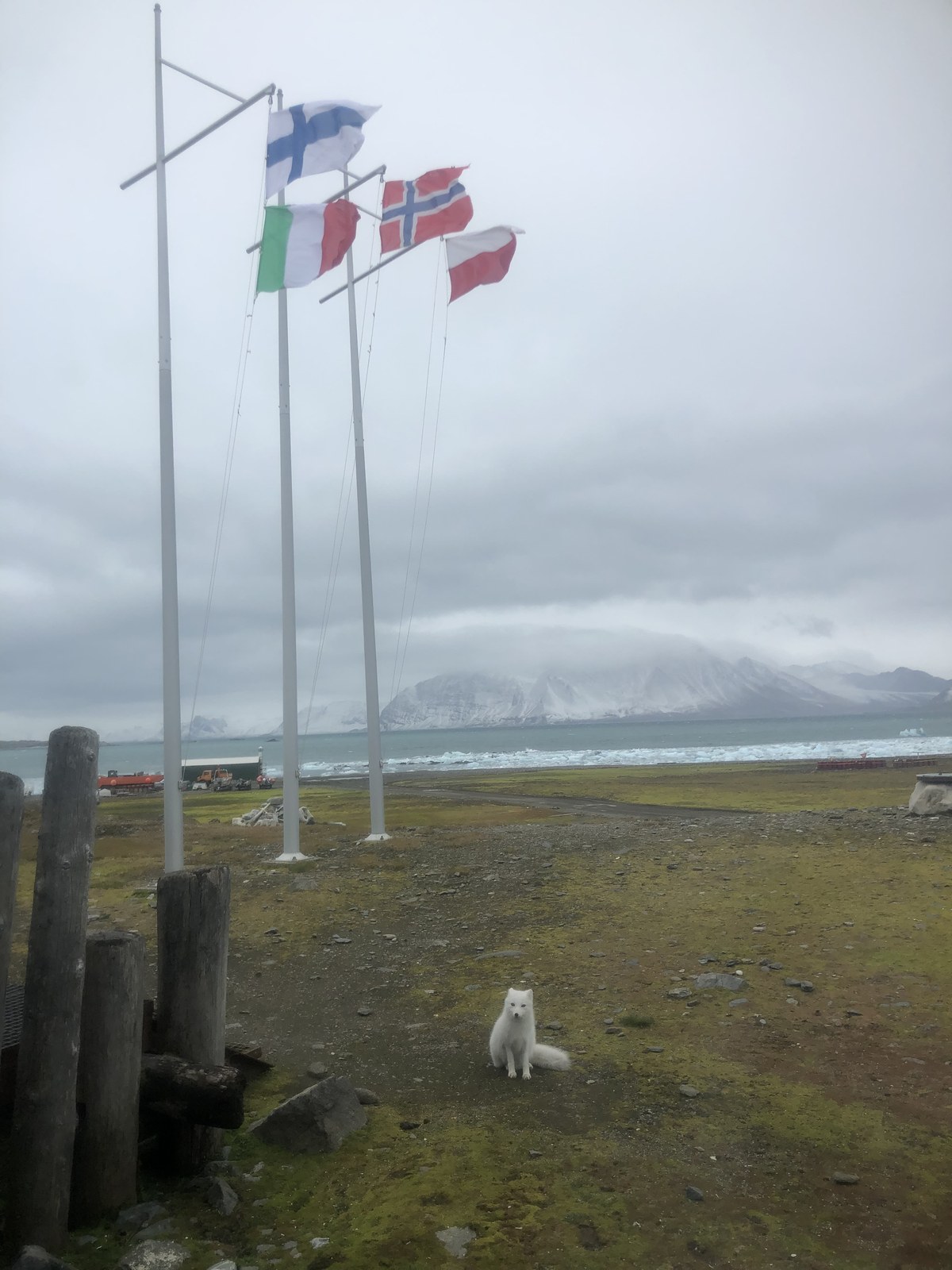 Skoddefjellet