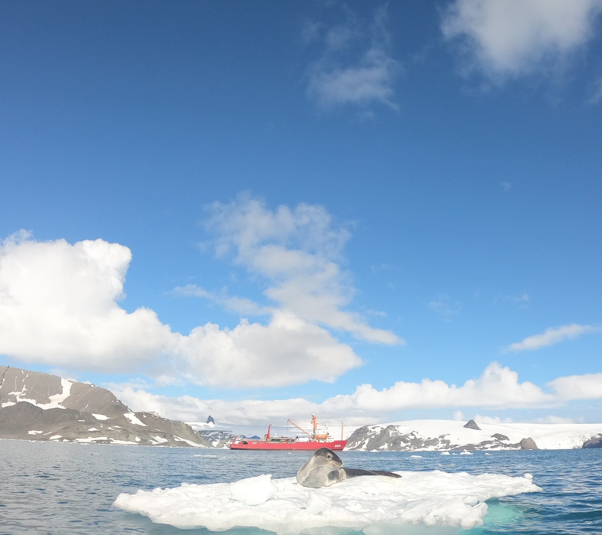 Ajax Icefall