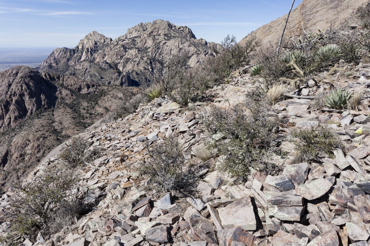 Baldy Peak