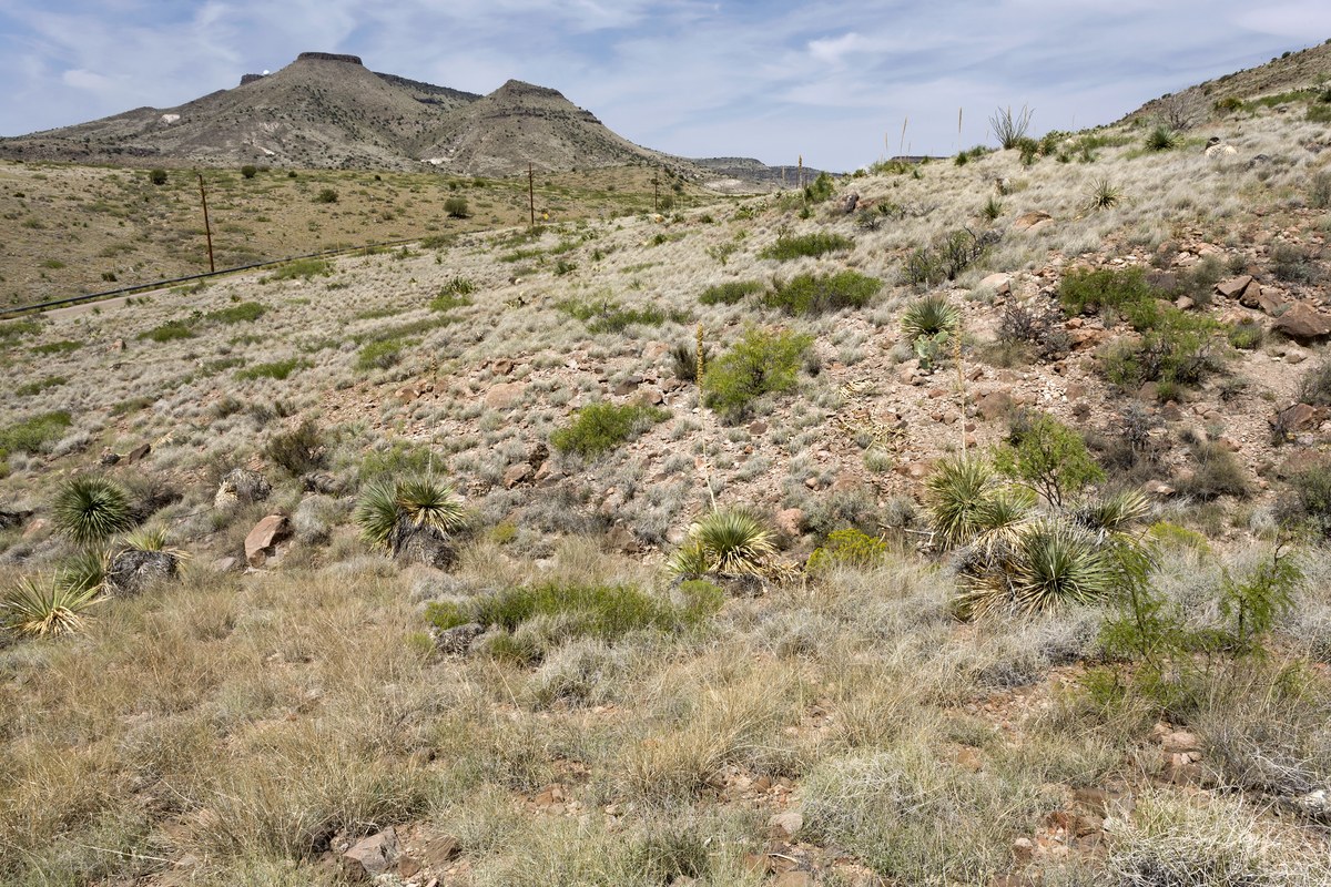 Bell Top Mountain