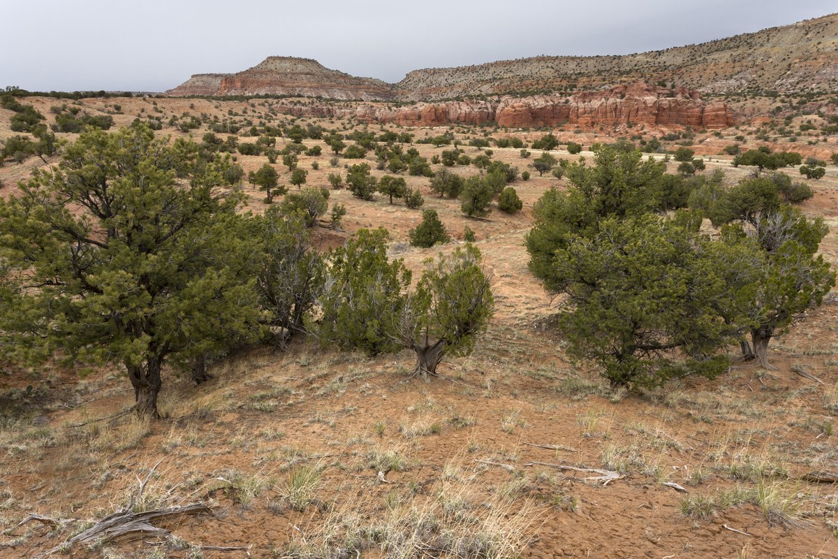 Round Butte