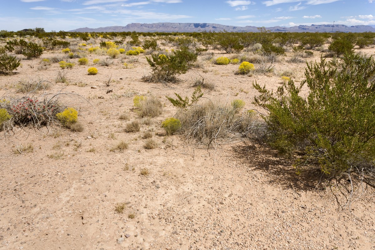 Huerfano Hill
