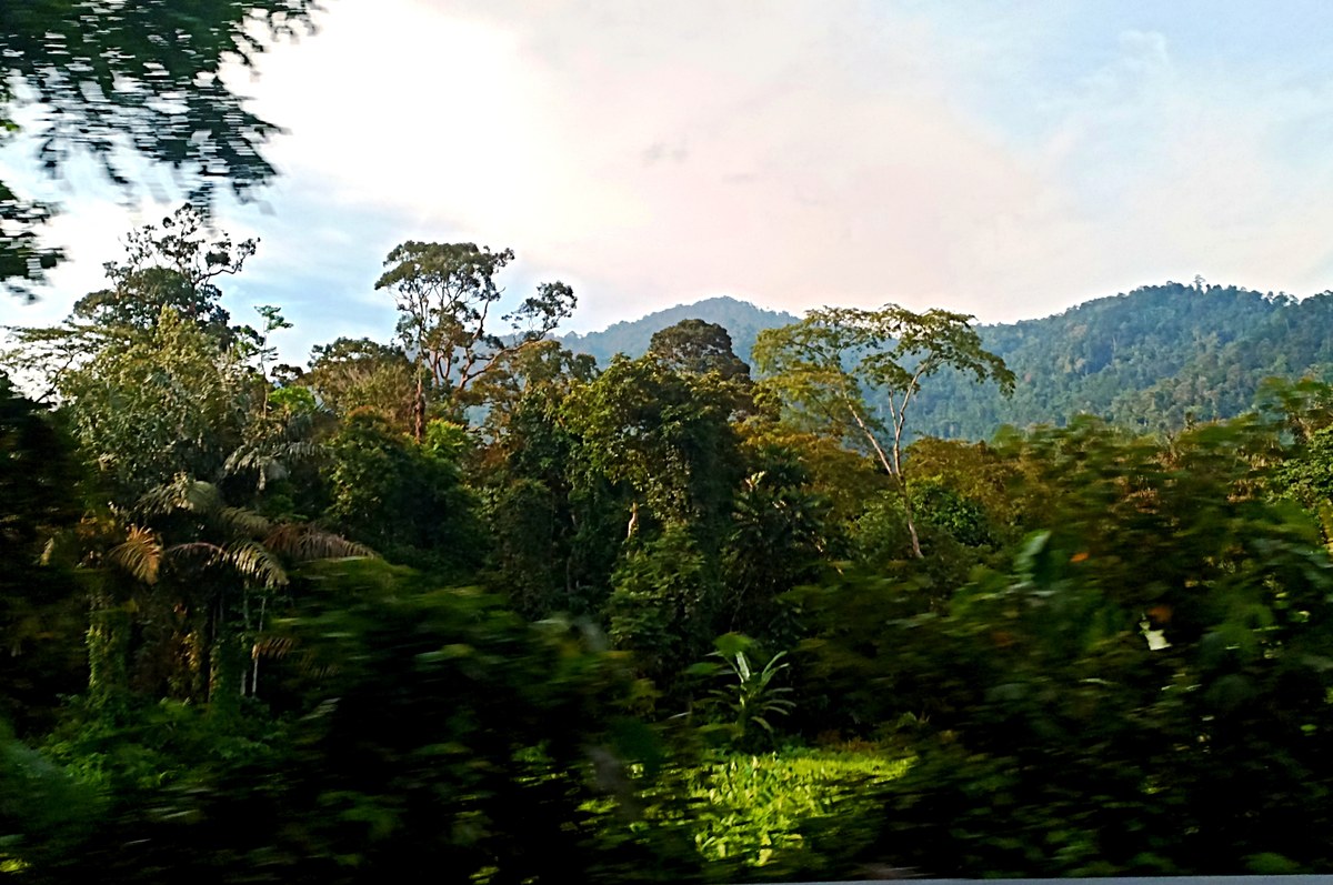Bukit Bintongan