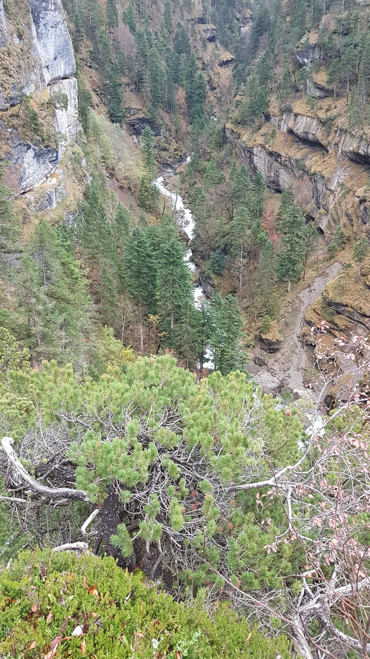 Gampfall