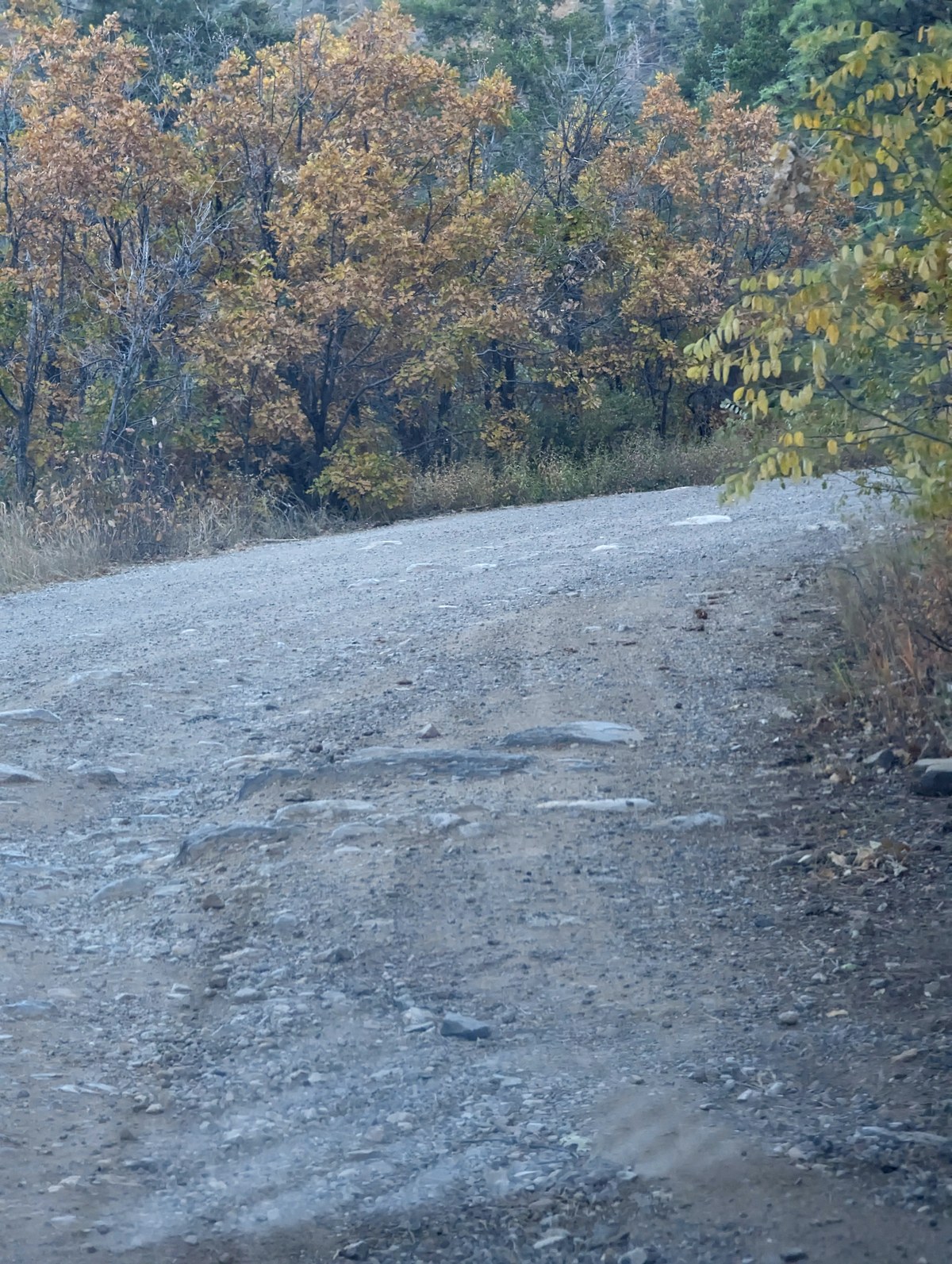 Palomas Peak