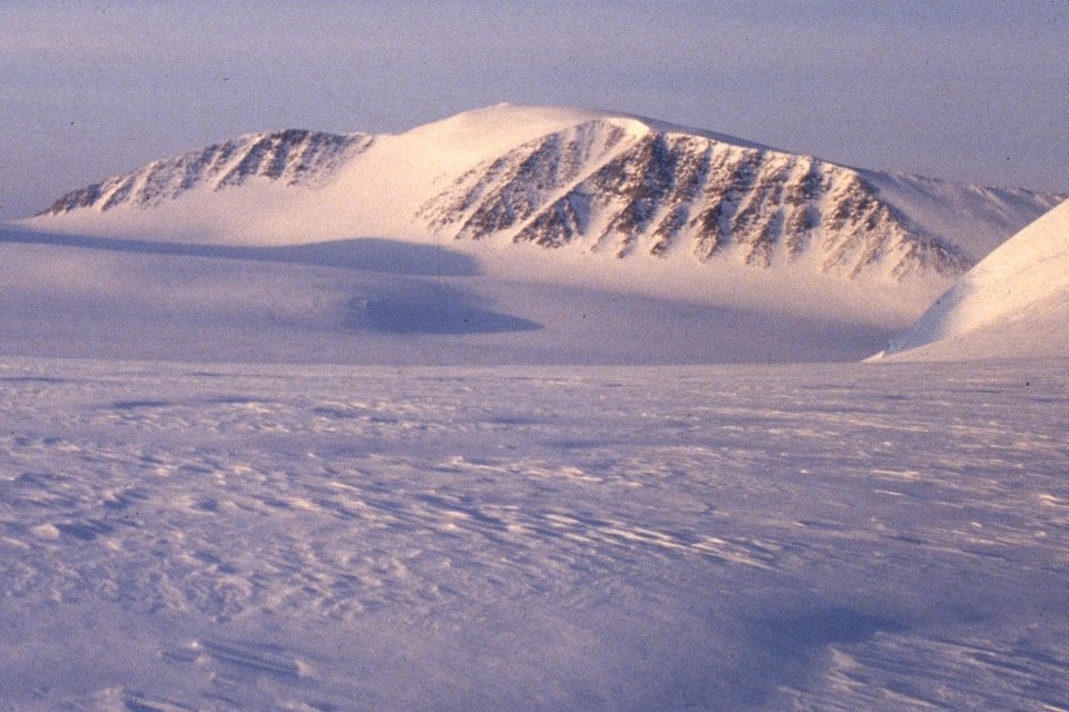 Kvitbreen